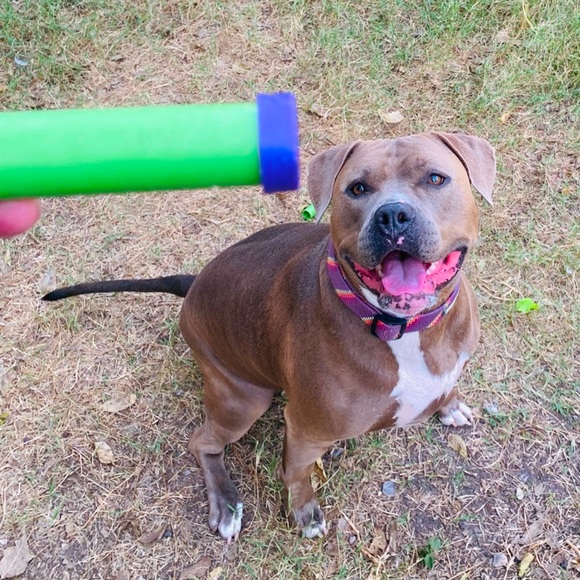 Meet your Posher, Jennifer - Picture 2 of 3